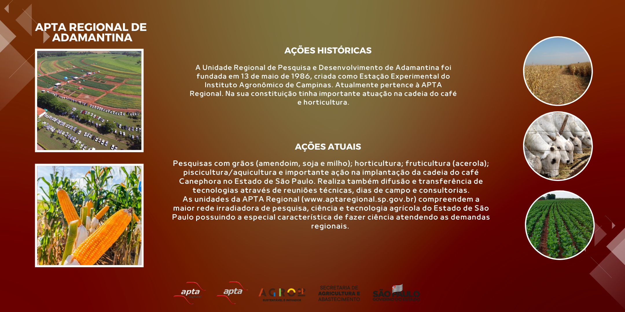 APTA REGIONAL DE ADAMANTINA